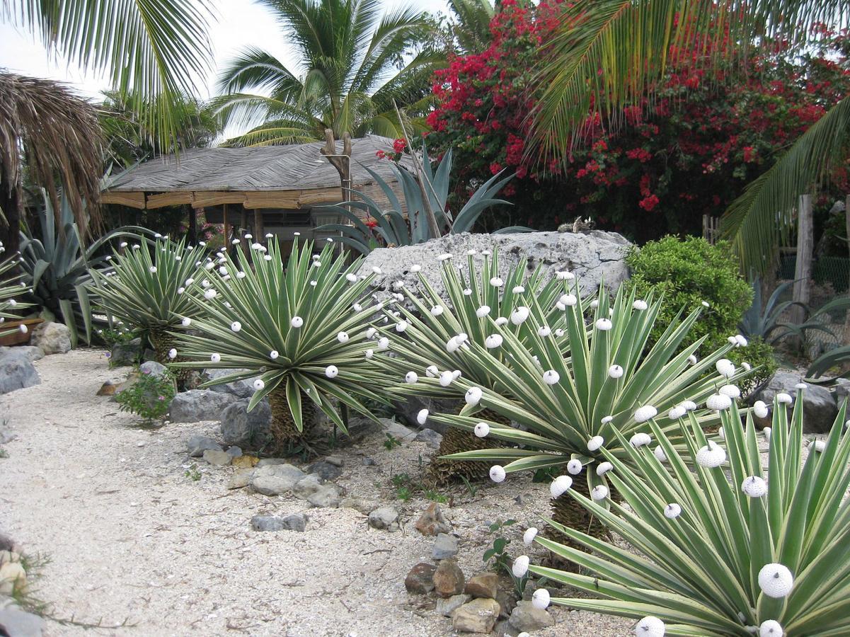 Casa Las Piedras Bed & Breakfast Troncones Exterior photo